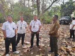 Kadivre Jatim Kunjungan ke Perhutani di Sambut ADM KPH Bondowoso