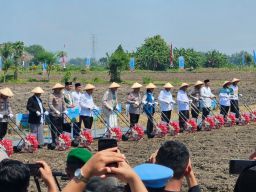 PLN Dukung Keandalan Listrik Penanaman Jagung Serentak Bersama Santri se-Indonesia
