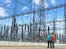 Rekrutmen Nasional PLN 2025: Panggilan Generasi Muda Menuju Transisi Energi