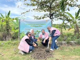 PLN Icon Plus Jatim Gelar Aksi Tanam 100 Pohon dan Apresiasi Pelanggan ICONNET di Sidoarjo