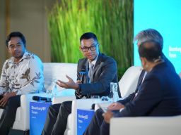 PLN Siap Jadi Motor Dekarbonisasi, Hashim Tegaskan Posisi RI Di Paris Agreement