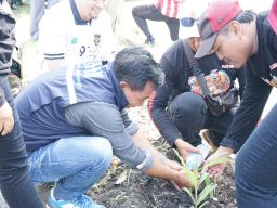 Camat Tulangan dan DLHK Sidoarjo Tanam 8.000 Bibit Tanaman untuk Jaga Kelestarian Lingkungan