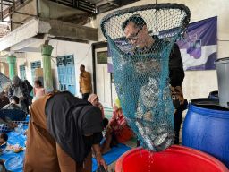 Dosen Undika Ini Menerapkan Teknologi Budikdamber Ikan Lele berbasis IoT 