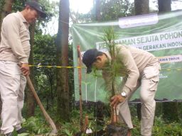 Penanaman Sejuta Pohon,Kemendukbangga/BKKBN Jatim Sukseskan Gerakan Indonesia ASRI