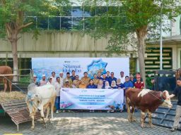 TTL Perkuat Kepedulian Sosial Lewat Program Pelindo Berbagi Kurban Idul Adha 1447 Hijriyah 
