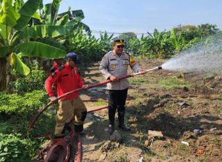 Polres Pelabuhan Tanjung Perak Gandeng Damkar Siram Lahan Jagung Ketahanan Pangan