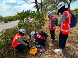 Terminal Teluk Lamong Perkuat Green Port, Gandeng BRIN Kembangkan Riset Ekologis