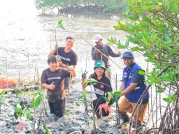 Hijaukan Tambak Sarioso, TPS Serahkan 3.000 Bibit Mangrove kepada DLH Surabaya