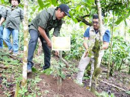 Mitigasi Longsor dan Dorong Ekonomi Warga,PLN UIP JBTB Salurkan Bantuan Konservasi 4.000 Pohon Aren