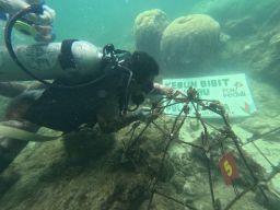 Sambut Hari Pelanggan Nasional, Cerita Perubahan dari Berbagai Daerah, Program TJSL PLN