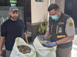 Penutup Cangkang Siput Laut Milik UMKM di Malang Tembus Pasar Arab Saudi