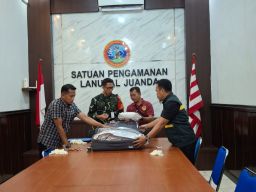 Barantin Selamatkan 30.789 Benih Lobster Senilai Rp4,6 Miliar dari Bandara Juanda