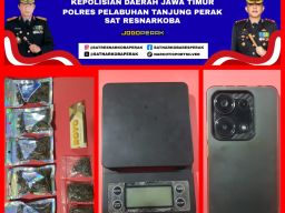 Satresnarkoba Pelabuhan Tanjung Perak Ungkap Peredaran Ganja 41,8 Gram, Seorang Pemuda Diamankan