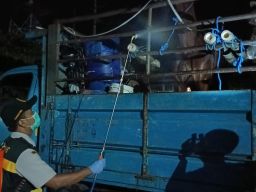 Cegah Surra Menyebar ke Kalimantan, Karantina Jatim Periksa Kuda Asal Kediri
