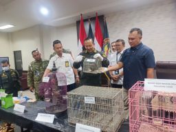 Koper Berisi Monyet Ekor Panjang Ditemukan di Bandarajuanda,Pemilik Diduga Sudah Terbang ke Sulawesi