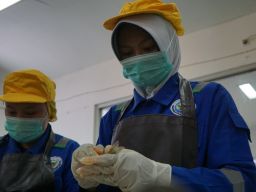 Barantin Buka Laboratorium Karantina untuk Mahasiswa, Bisa Belajar PCR hingga Pengujian