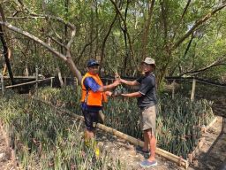 Menjaga Pesisir Tetap Lestari, TPS Konsisten Kembangkan Pembibitan Mangrove