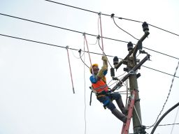 Rampingkan Anak Usaha,PLN Hadirkan PLN Services untuk Meningkatkan Layanan ke Masyarakat