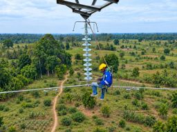 HLN ke-81: PLN Perkuat Peran Listrik sebagai Penggerak Kehidupan dan Kemandirian Bangsangsa