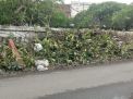 Tumpukan Sampah di Randu Sidotopo Wetan