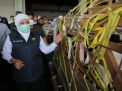 Khofifah Apresiasi Koperasi Peternak Berdayakan Unskilled Labour