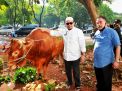 Ketua DPD RI Minta Pemerintah Serius Tanggapi Lonjakan Harga Sapi