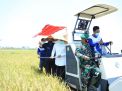 Tak Perlu Beras Import, Stok Melimpah dan Surplus Sampai Mei 2021