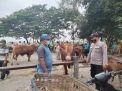 Polsek Balongpanggang Laksanakan Pengawasan Prokes di Pasar Hewan