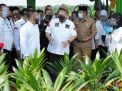 Ketua DPD RI Minta Tingkatkan Harga Sawit Dukung Kesejahteraan Petani