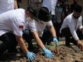 Ketua DPD RI Minta Kelangkaan Pupuk di Indramayu Segera di Atasi