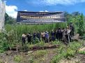 Polisi Sita 592 Kg dan Musnahkan Ladang Ganja 7 Ha di Gunung Lauser