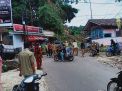 Pohon Beringin Ratusan Tahun Tumbang di Desa Rancakalong