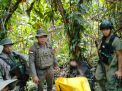 Satgas Madago Raya Tindak Tegas saat Tangkap 1 DPO Teroris MIT