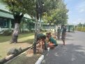 Jaga Lingkungan Tetap Rapi oleh Personil Denma Korem 084/BJ