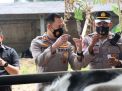 Polres Malang Kawal Percepatan Vaksin PMK 12.319 Ekor Ternak