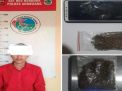 Polres Sumedang Amankan Ganja Seberat 6,8 Gram