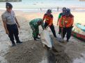 Polres Tulungagung Peduli Lingkungan Tanam Pohon dan Bersihkan Pantai
