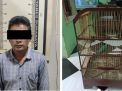 Polsek Asemrowo Bekuk Pencuri Burung Cucak Ijo