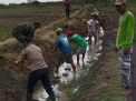 Polisi Lamongan Bersama Warga Minimalisir Banjir Bersihkan Saluran Irigasi