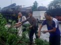 Polisi Bantu Evakuasi Pohon Tumbang yang Menutup Separuh Akses Jalan