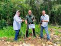 Perhutani KPH Lawu Bersama Wabup Pacitan, Gagarin dan Kodim 0801 Tanam Pohon Trembesi