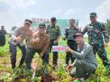 Perhutani Jatim Genjot Penanaman Pohon Percepat Tutupan Lahan