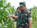 Program Ketahanan Pangan Kodim 0827/Sumenep di Kunjungi Danrem 084/BJ