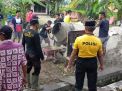 Polisi Ponorogo Bersama TNI dan Warga Kompak Bedah Rumah Mbah Ponirah