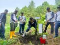Perum Perhutani Divre Jatim Awali Pekerjaan di Tahun 2023, Gelar Penanaman dan Santuni Anak Yatim-piatu