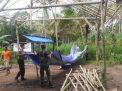 Polres Malang Bersama Muspika Bongkar Arena Perjudian Sabung Ayam di Gedangan