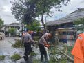 Polres Trenggalek Gercep Evakuasi Pohon Tumbang