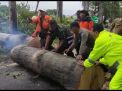TNI-Polri dan BPBD Gercep Evakuasi Pohon Tumbang