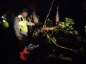 Hujan Angin, Polres Ngawi Sigap Tangani Pohon Tumbang
