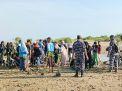 Cegah Abrasi Poskamladu Pasongsongan Tanam Mangrove Bersama Warga